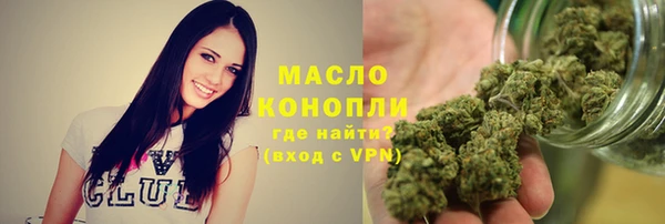 твердый Няндома
