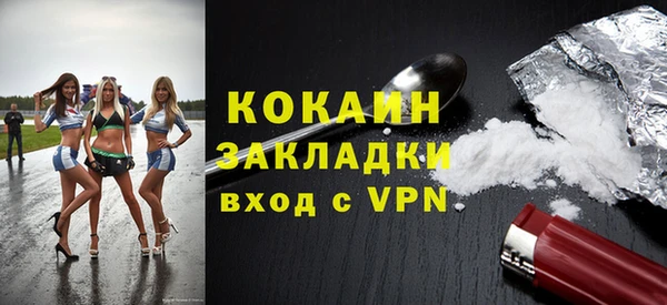 прущие грибы Вяземский