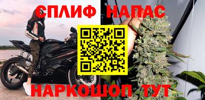 дмт Будённовск