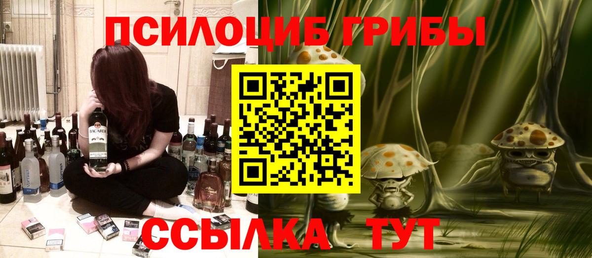 Псилоцибиновые грибы Magic Shrooms  Вход с VPN  Гудермес 